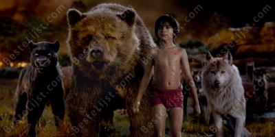 wild kind films