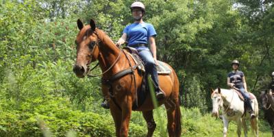 te paard films