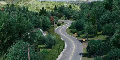 Mulholland Drive films