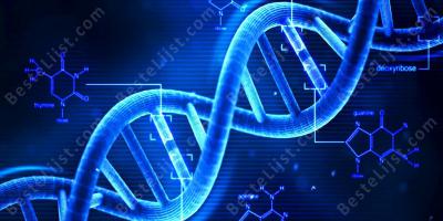 dna films