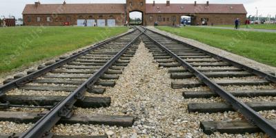 holocaust films