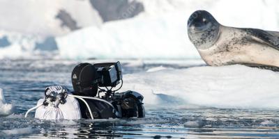 natuurdocumentaire films