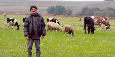 herder films