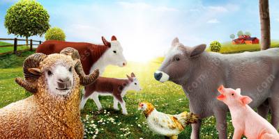 boerderijdier films