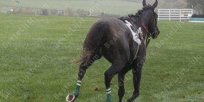weggelopen paard films