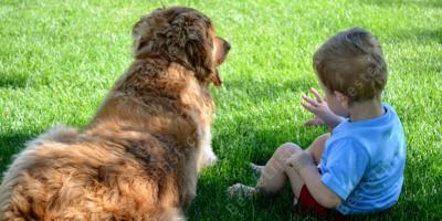 jongen hond relatie films