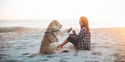 meisje hond relatie films