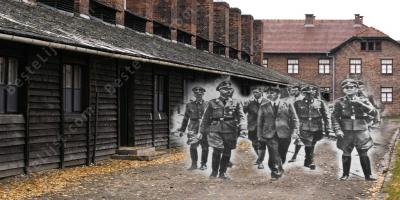 Auschwitz films