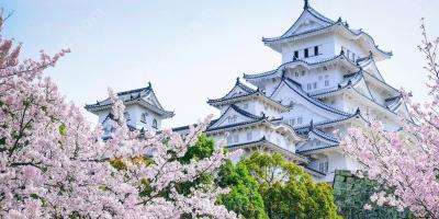 Japan films