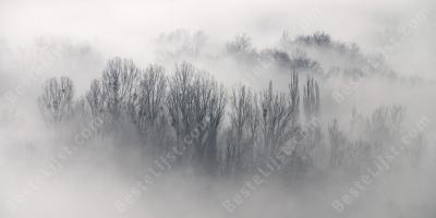 mist films