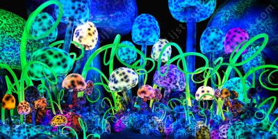 hallucinogeen medicijn films