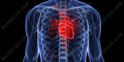 menselijk hart films