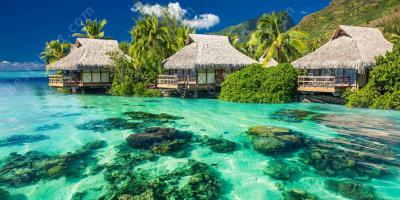 Tahiti films