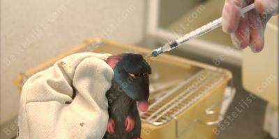 vivisectie films
