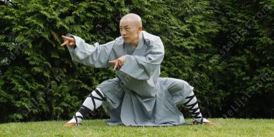 Kung Fu meester films