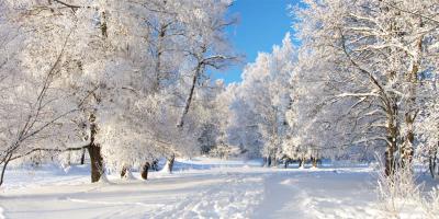 winter films
