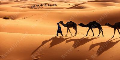 Sahara films