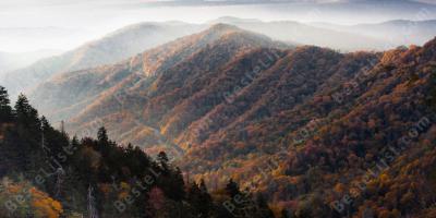 appalachia films