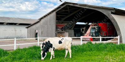 dierenboerderij films