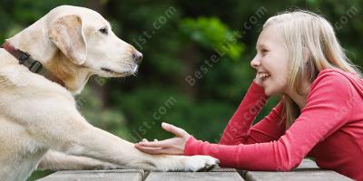 praten met een hond films