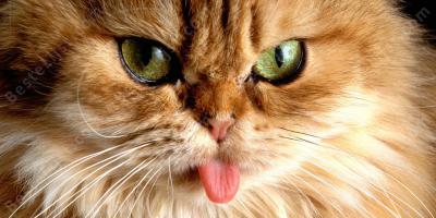 de tong uitsteken films