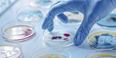 microbiologie films