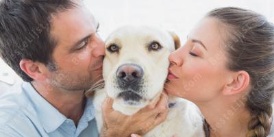 dierenliefhebber films