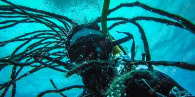 zonder lucht komen te zitten films