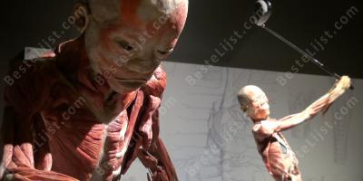 lichamen films