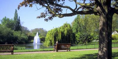 park films