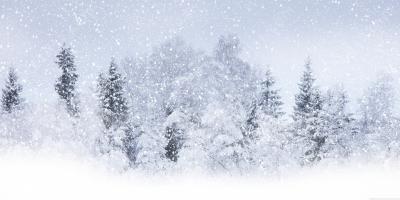 sneeuwstorm films