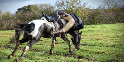 van paard vallen films