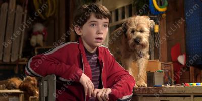 jongen en hond films