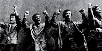 zwarte panter feest films