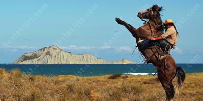 cowboy films