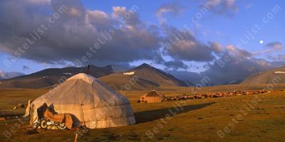 Mongolië films