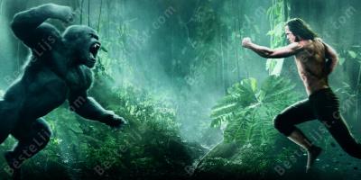mens versus dier films