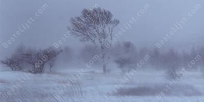 sneeuwstorm films