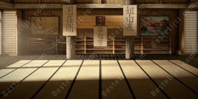 dojo films