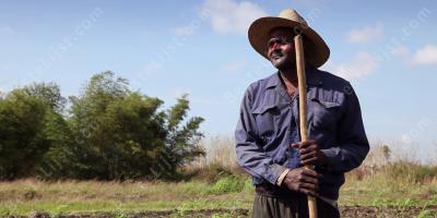 boer films