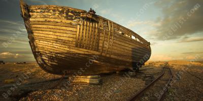 de ark van Noah films