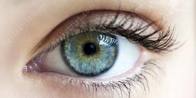oog films