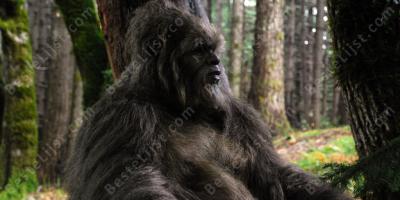 sasquatch films