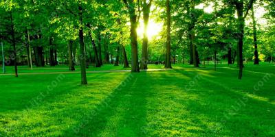 natuur films