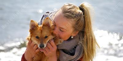 relatie huisdiereigenaar films