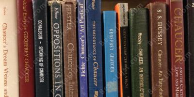 Engelse literatuur films