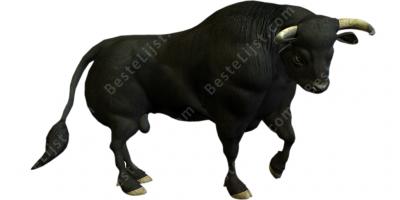 stier films